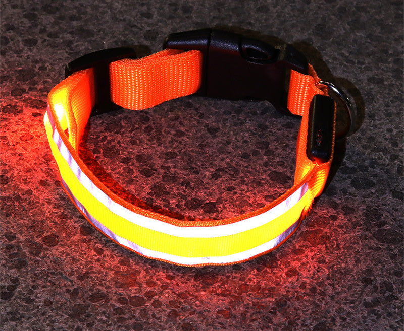 Coleira Fino Focinho - LED Neon Recarregável - Segurança Noturna Para Pets