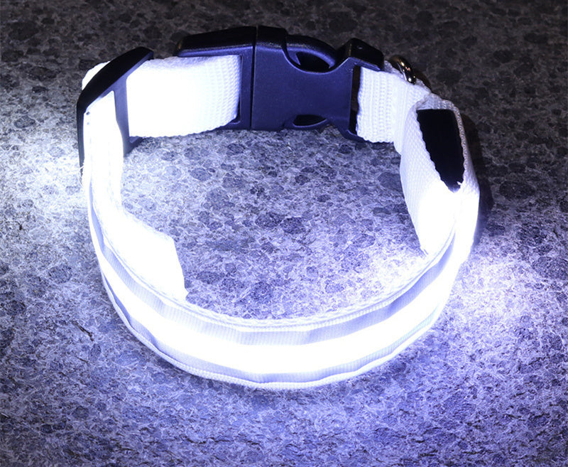 Coleira Fino Focinho - LED Neon Recarregável - Segurança Noturna Para Pets