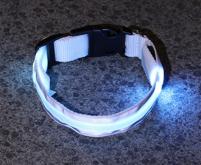 Coleira Fino Focinho - LED Neon Recarregável - Segurança Noturna Para Pets