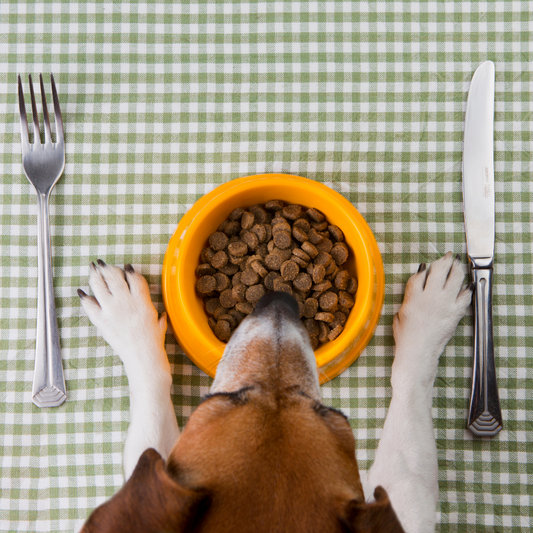 Como Escolher a Ração Ideal para o Seu Pet: Dicas Importantes