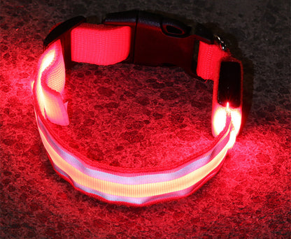 Coleira Fino Focinho - LED Neon Recarregável - Segurança Noturna Para Pets