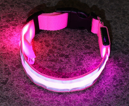 Coleira Fino Focinho - LED Neon Recarregável - Segurança Noturna Para Pets
