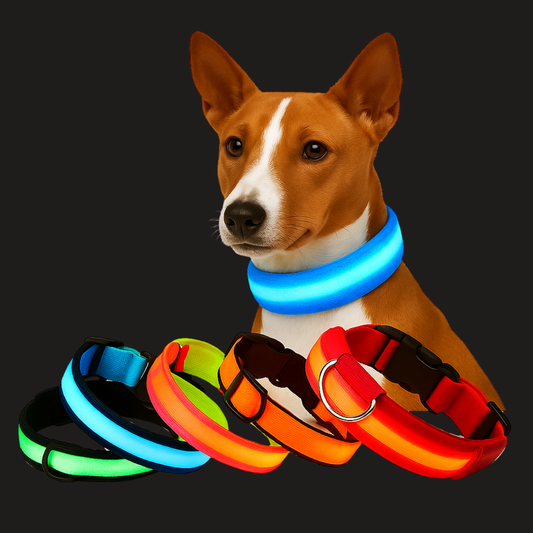 Coleira Fino Focinho - LED Neon Recarregável - Segurança Noturna Para Pets