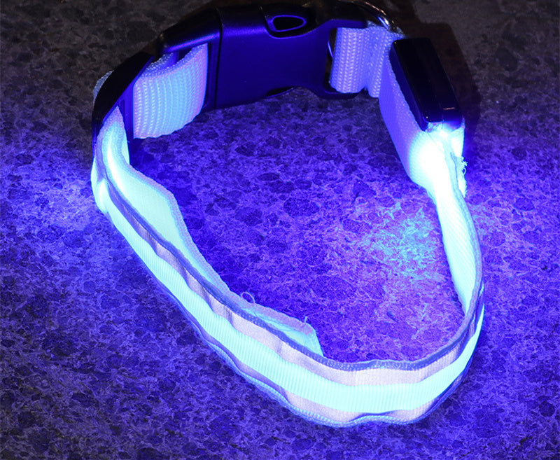 Coleira Fino Focinho - LED Neon Recarregável - Segurança Noturna Para Pets