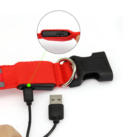 Coleira Fino Focinho - LED Neon Recarregável - Segurança Noturna Para Pets