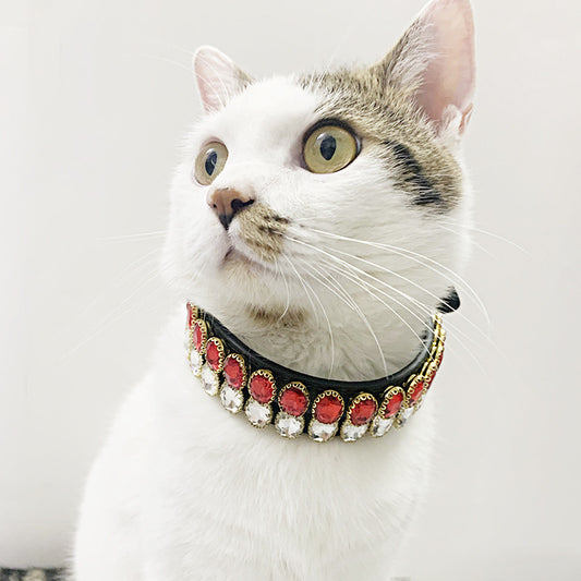 Coleira com Pedras e Design Moderno – Estilo e Conforto para Seu Pet! Gatos ou Cães Pequenos
