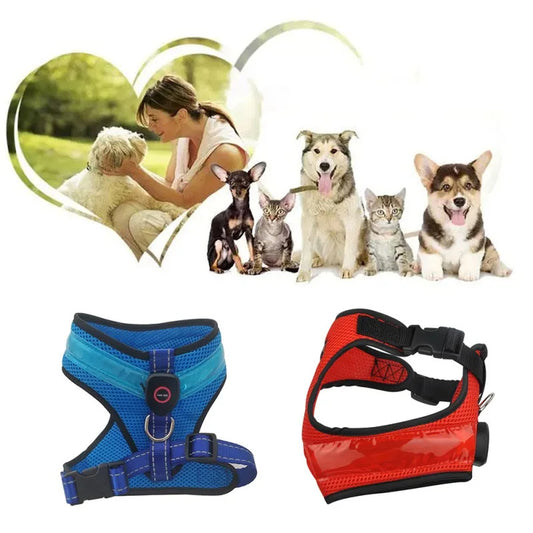 Peitoral com LED USB Recarregável – Pet Fino Focinho