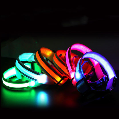 Coleira Fino Focinho - LED Neon Recarregável - Segurança Noturna Para Pets