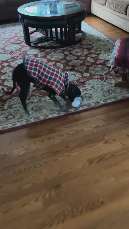 1.mp4